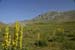 2018-07-15 Monte S. Nicola, Di Canale, La Castellina, Sirente da Vado Castello 00049