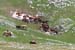 2018-07-15 Monte S. Nicola, Di Canale, La Castellina, Sirente da Vado Castello 00515
