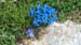 2018-07-15 Monte S. Nicola, Di Canale, La Castellina, Sirente da Vado Castello 00601