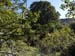 2018-09-08 Monte Gennaro 0027