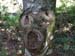 2018-09-22 Anello Calcata Mazzano Romano e della Banditaccia 0319