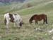 2018-11-03 Monte Fontecellese da Marsia 0145