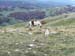 2018-11-03 Monte Fontecellese da Marsia 0152