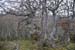 2018-11-03 Monte Fontecellese da Marsia 0161