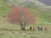 2018-11-03 Monte Fontecellese da Marsia 0295