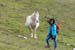 2018-11-03 Monte Fontecellese da Marsia 0309