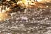 2018-11-17 Monte Malaina da Carpineto Romano 0047