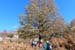 2018-11-17 Monte Malaina da Carpineto Romano 0104