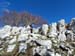 2018-11-17 Monte Malaina da Carpineto Romano 0135