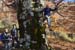2018-11-17 Monte Malaina da Carpineto Romano 0313