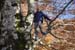 2018-11-17 Monte Malaina da Carpineto Romano 0315