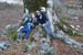 2018-11-17 Monte Malaina da Carpineto Romano 0324
