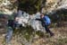 2018-11-17 Monte Malaina da Carpineto Romano 0344