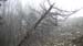 2018-12-01 Monte Petrella da Maranola 0074