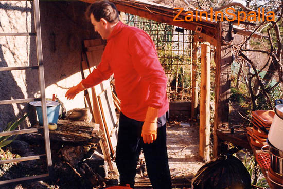 000 Giorgio casalingo